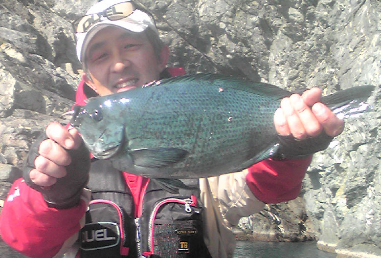 ４０ｃｍのクロ